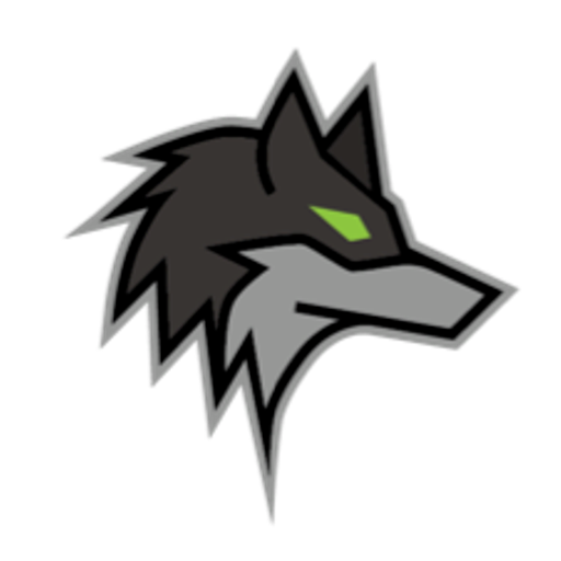 Dark Wolf Solutions logo